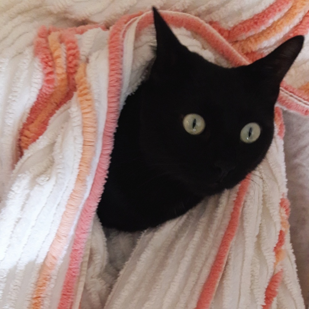 Meet your Posher, Myla